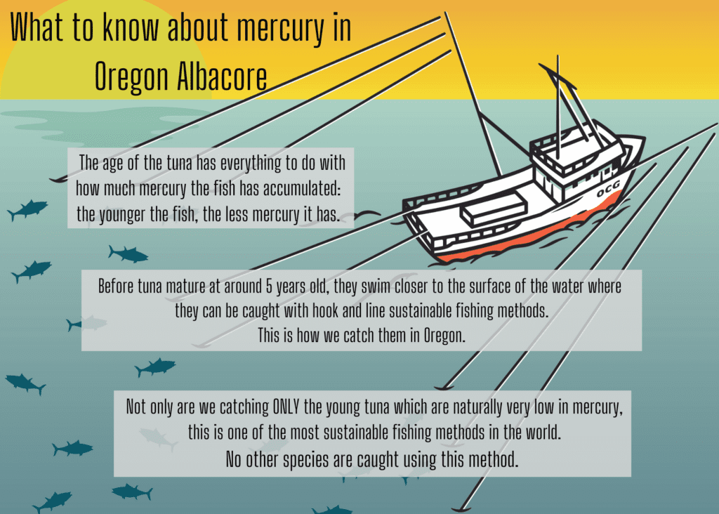 Mercury in Oregon Albacore