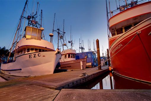 Oregons Choice Gourmet Seafoods Online Oregons Choice Gourmet Seafoods Online
