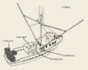 Crab Boat