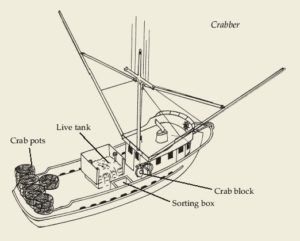 Crab Boat Diagram